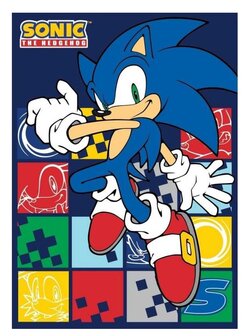 Sonic the Hedgehog fleece