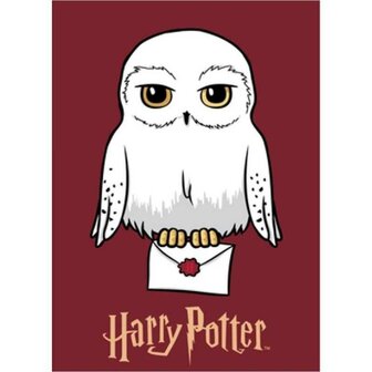 Harry Potter fleece deken Hedwig