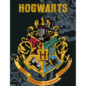 Harry Potter fleece deken 