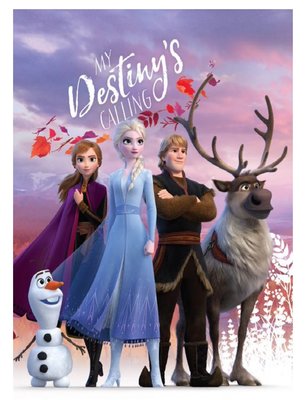 Disney Frozen kinderkamer De beste prijs!