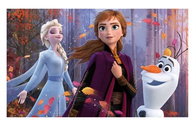 Milieuvriendelijk Maan verkorten Disney Frozen kinderkamer artikelen | De beste prijs!