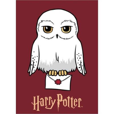 Harry Potter fleece deken Hedwig